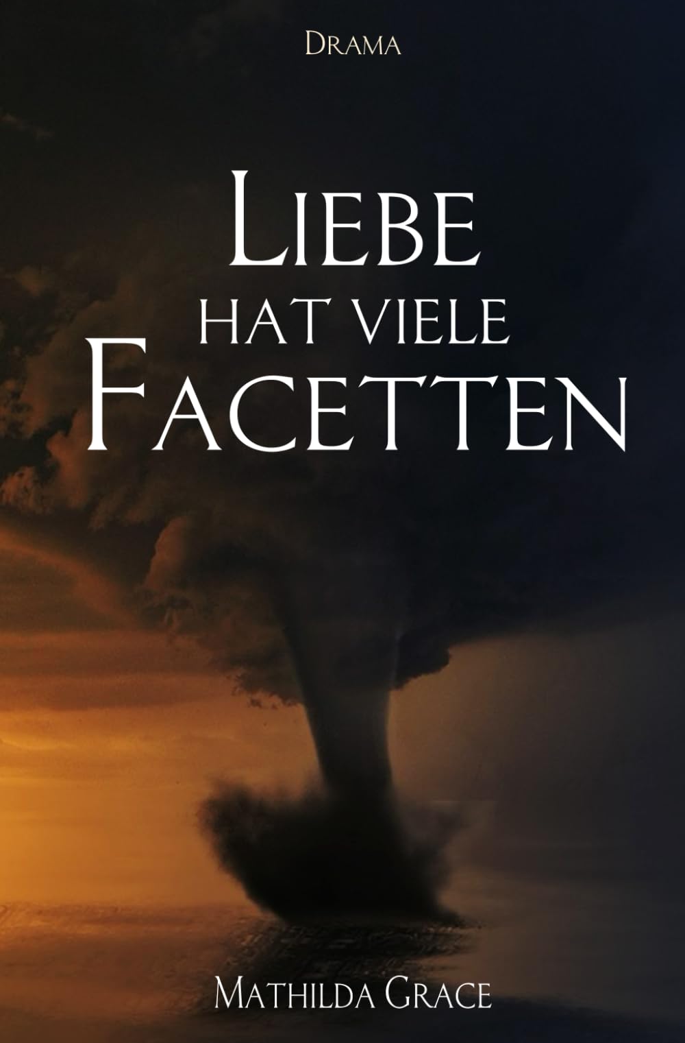 Liebe hat viele Facetten (Chicago - Reihe, Band 6) Eroticism