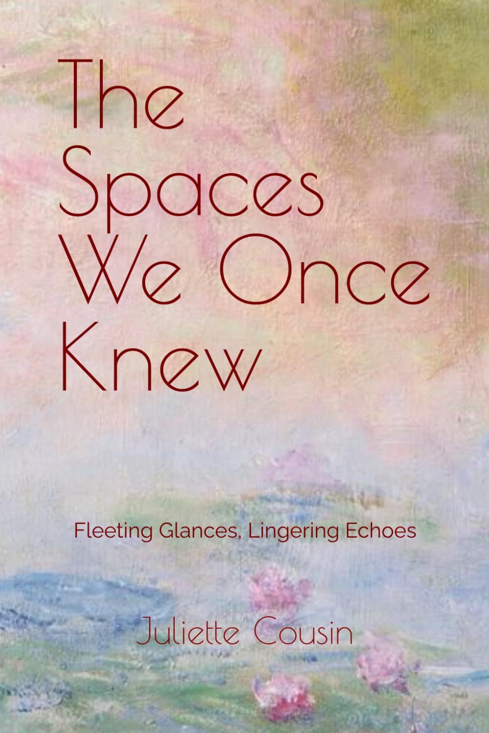 The Spaces We Once Knew: Fleeting Glances, Lingering Echoes book