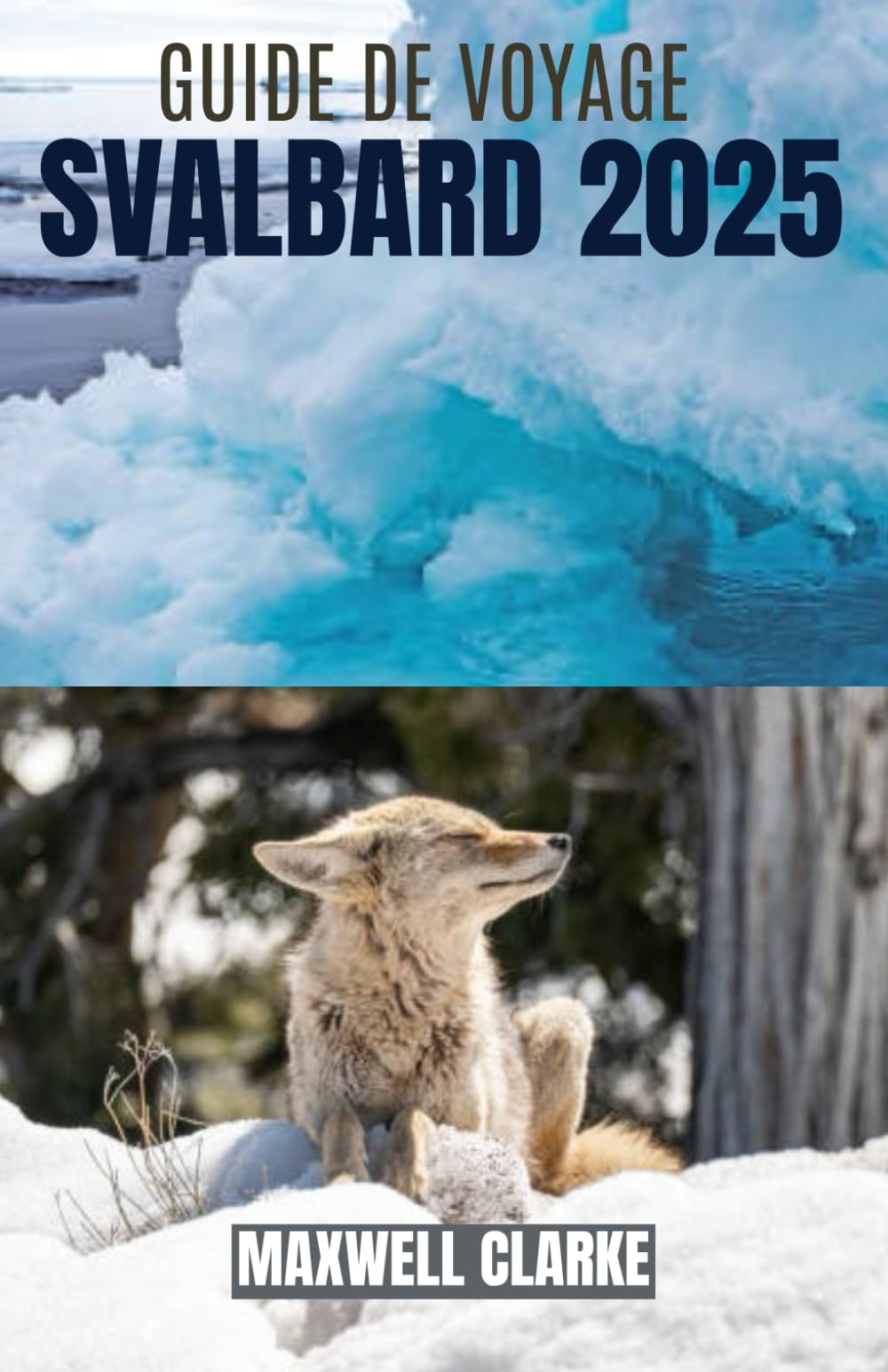 GUIDE DE VOYAGE SVALBARD 2025: À la découverte de la Norvège et du Svalbard : les meilleures excursions pour observer la faune arctique, les aurores boréales et les expéditions glaciaires Travelogues