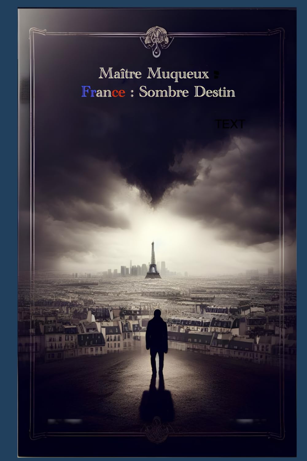 France : Sombre Destin book