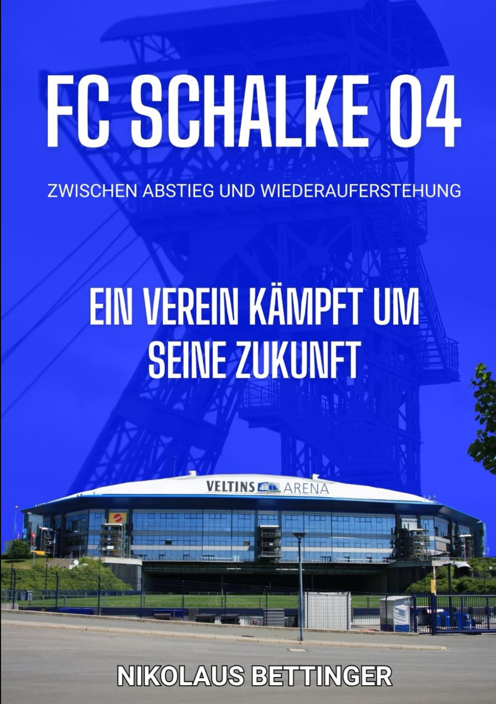 FC Schalke 04 - Zwischen Abstieg und Wiederauferstehung: Ein Verein kämpft um seine Zukunft Sports Books