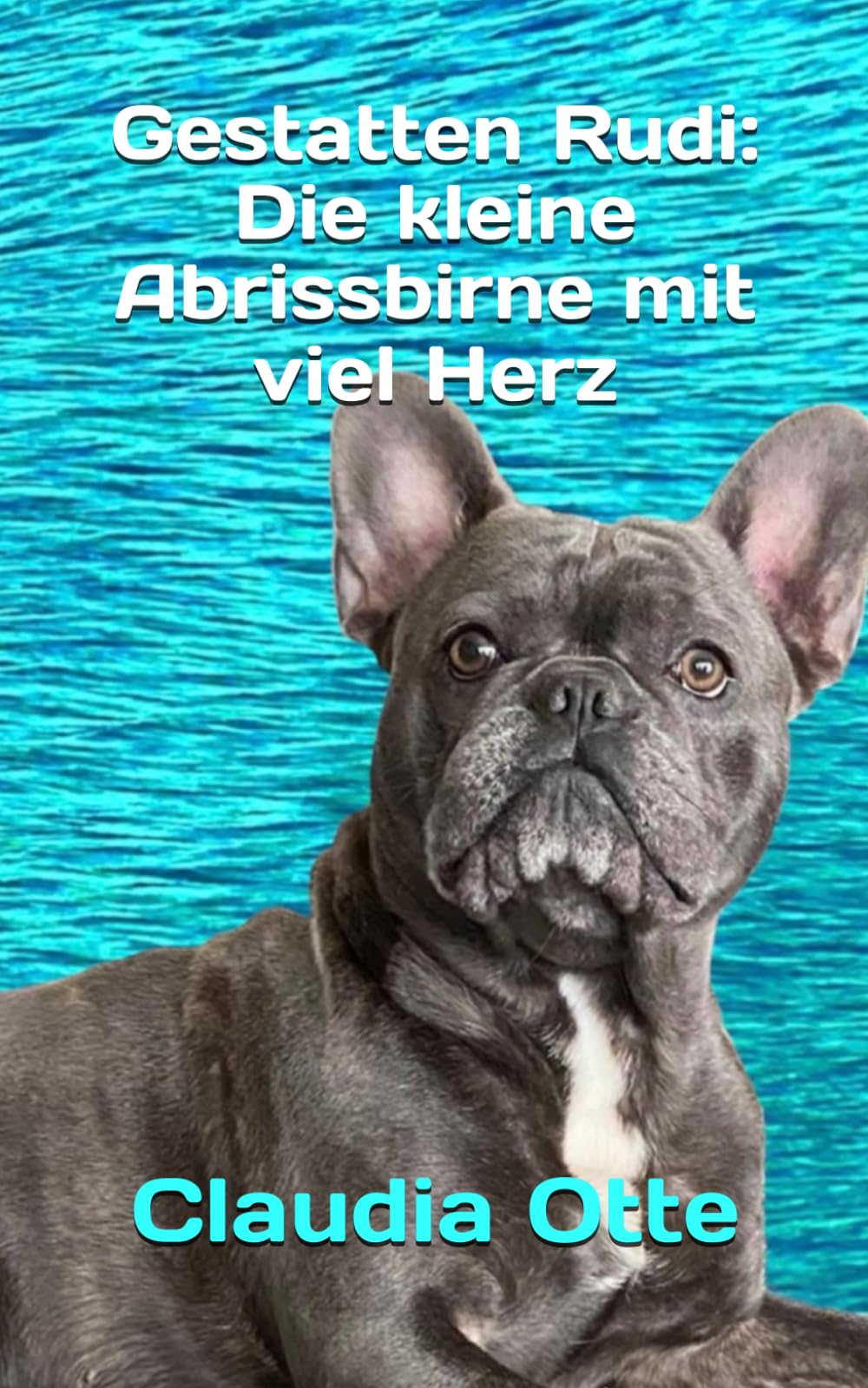 Gestatten Rudi: Die kleine Abrissbirne mit viel Herz Contemporary literature