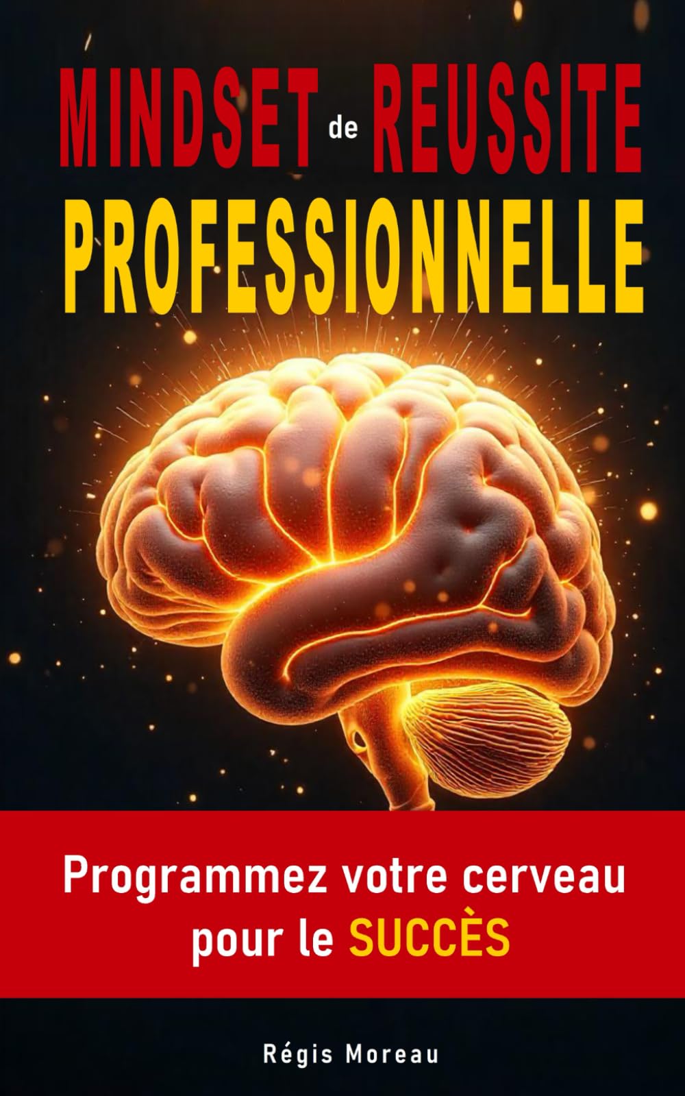 Mindset de Réussite Professionnelle : Programmez votre cerveau pour le Succès: Séances d'hypnose pour booster vos performances au travail book