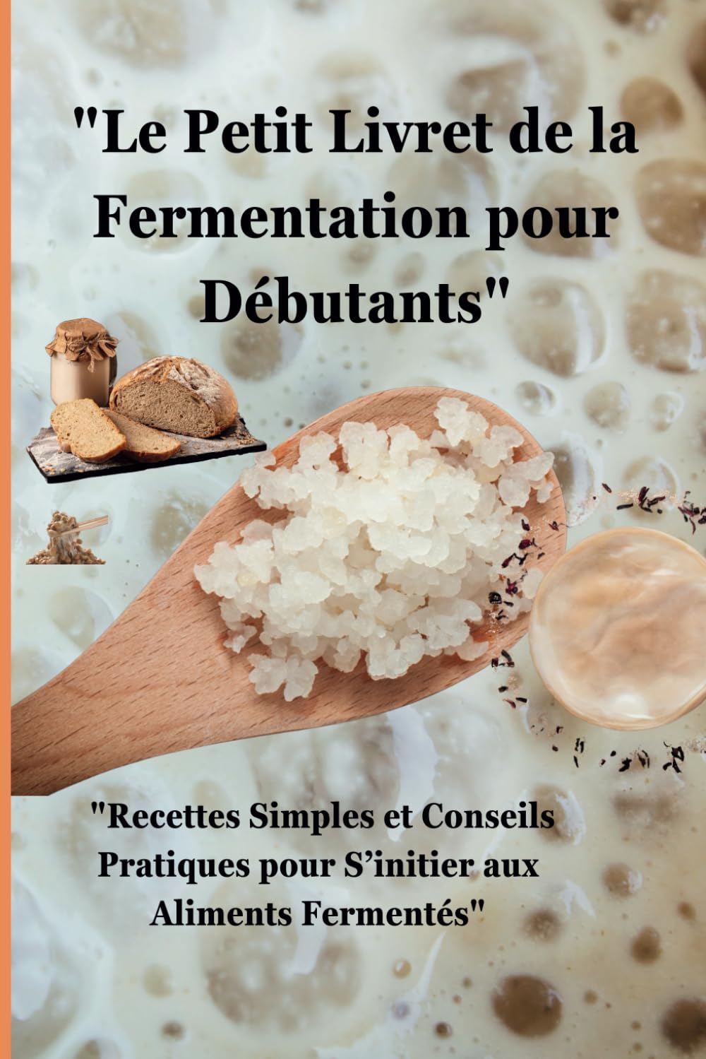 "Le Petit Livret de la Fermentation pour Débutants": "Recettes Simples et Conseils Pratiques pour S’initier aux Aliments Fermentés" 1 book