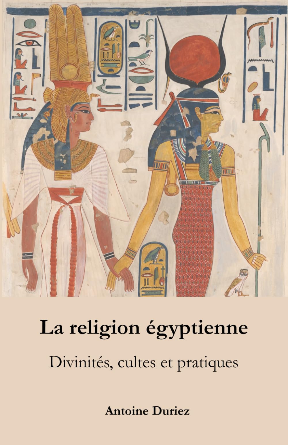 La religion égyptienne: Divinités, cultes et pratiques book