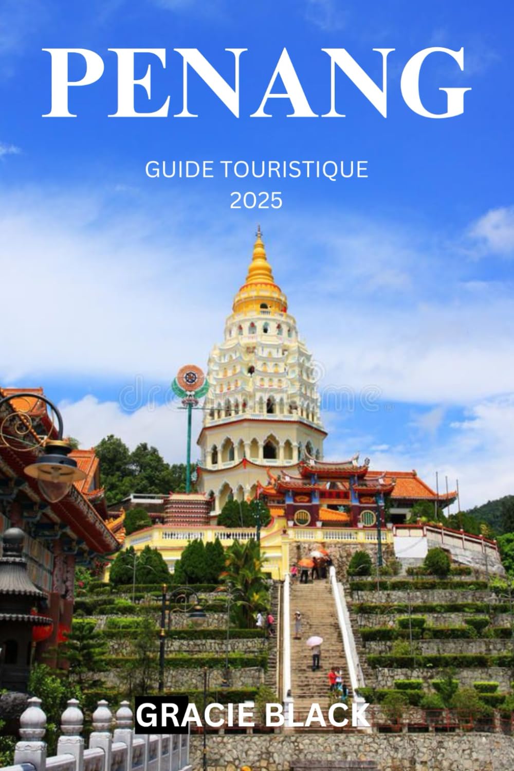 PENANG GUIDE TOURISTIQUE 2025: Découvrez le cœur du joyau caché de l’Asie à travers la culture, les saveurs et l’aventure book