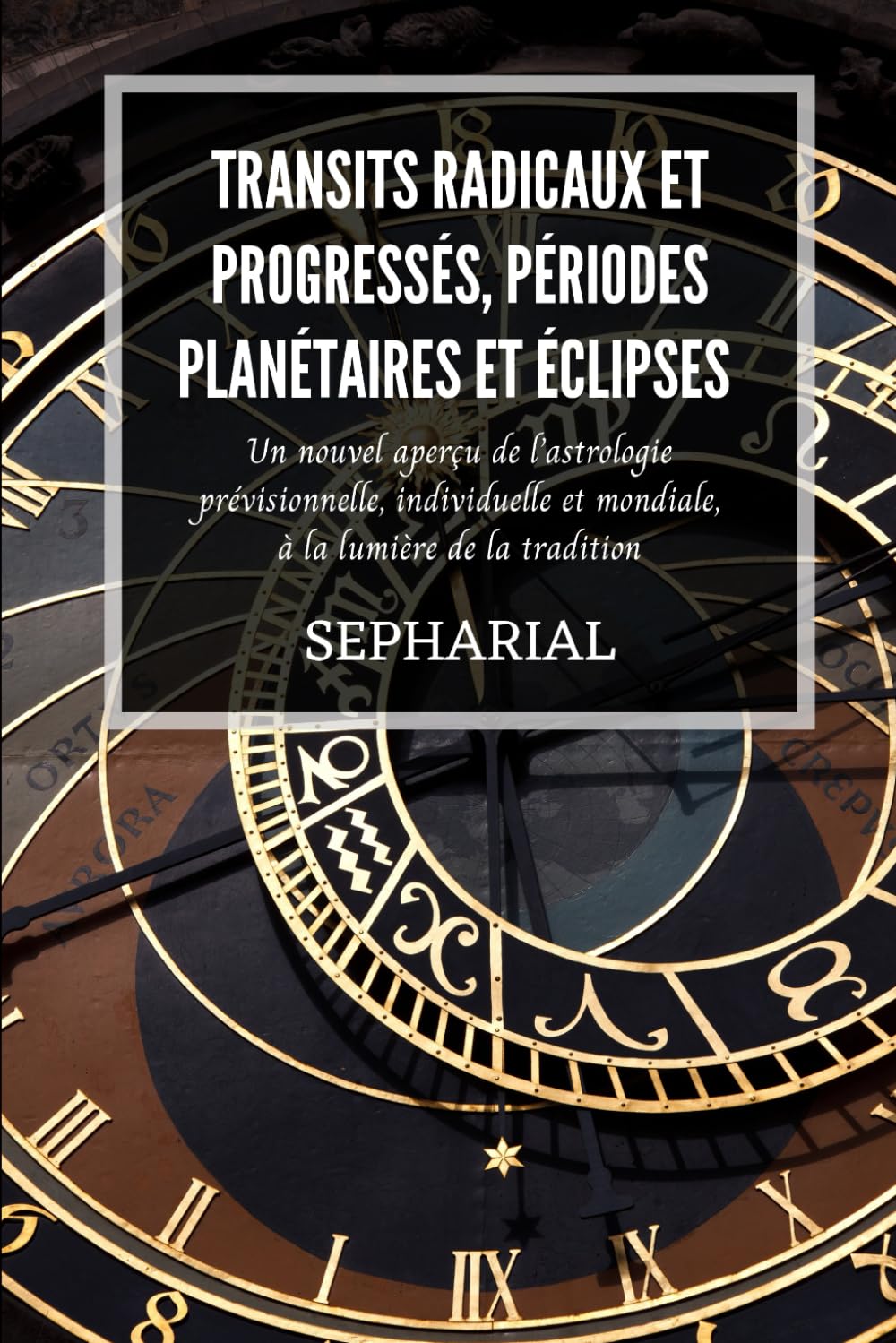 Transits radicaux et progressés, périodes planétaires et éclipses: Un nouvel aperçu de l’astrologie prévisionnelle, individuelle et mondiale, à la lumière de la tradition book