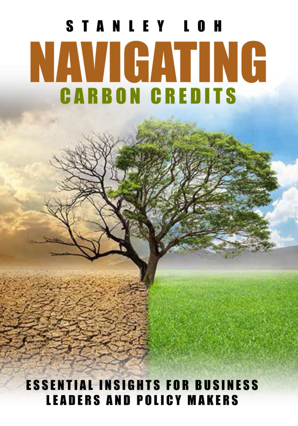 Navigating Carbon Credits: Essential Insights for Business Leaders and Policy Makers Geology & Geography