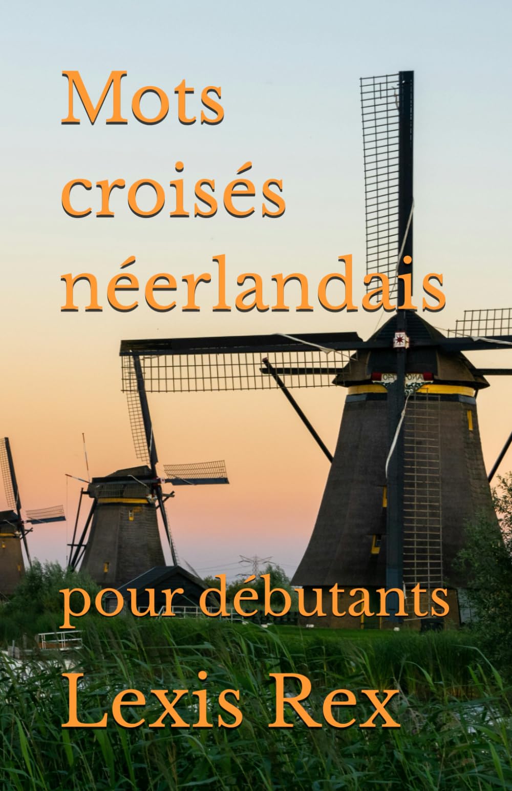 Mots croisés néerlandais pour débutants book