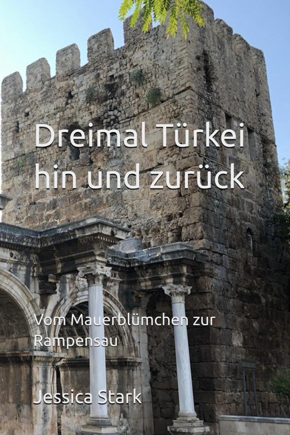 Dreimal Türkei hin und zurück Politics & Society