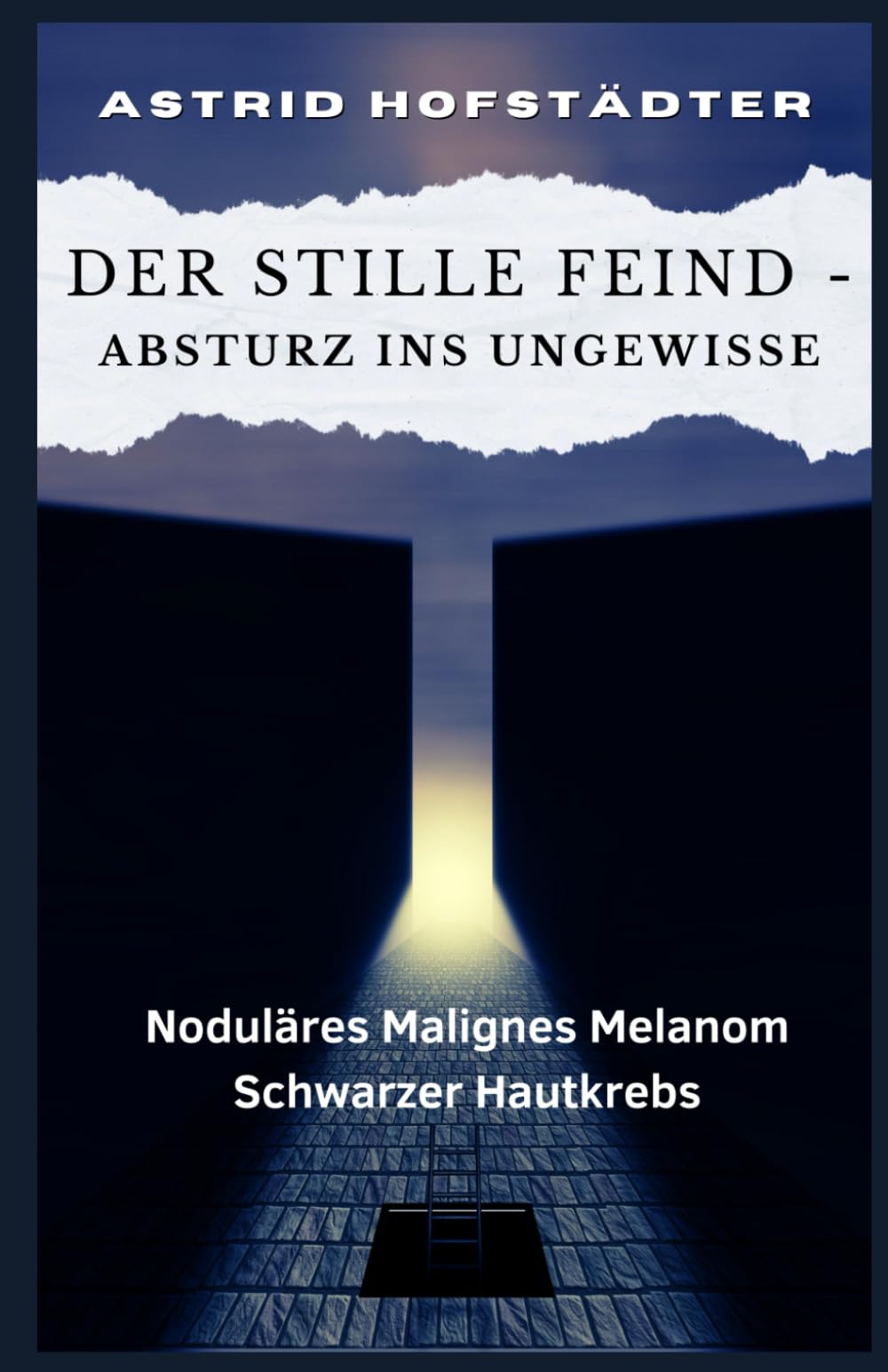 Der stille Feind – Absturz ins Ungewisse Noduläres Malignes Melanom Schwarzer Hautkrebs Art & Literature