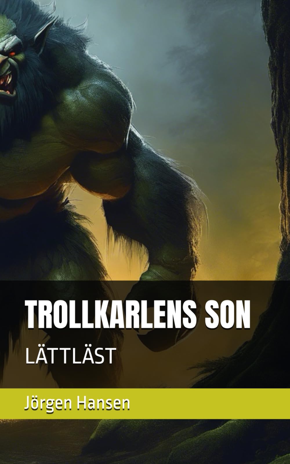 TROLLKARLENS SON: LÄTTLÄST (Svenska för invandrare) Young adult books