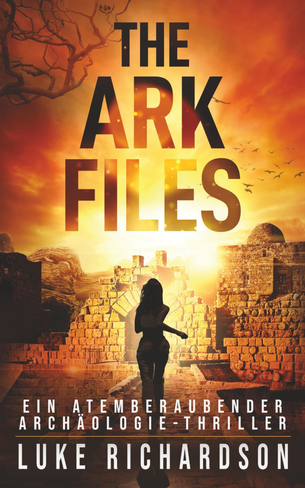 The Ark Files: Ein Atemberaubender Archäologie-Thriller (Eden Black Archäologie-Thriller, Band 1) Action & Adventure