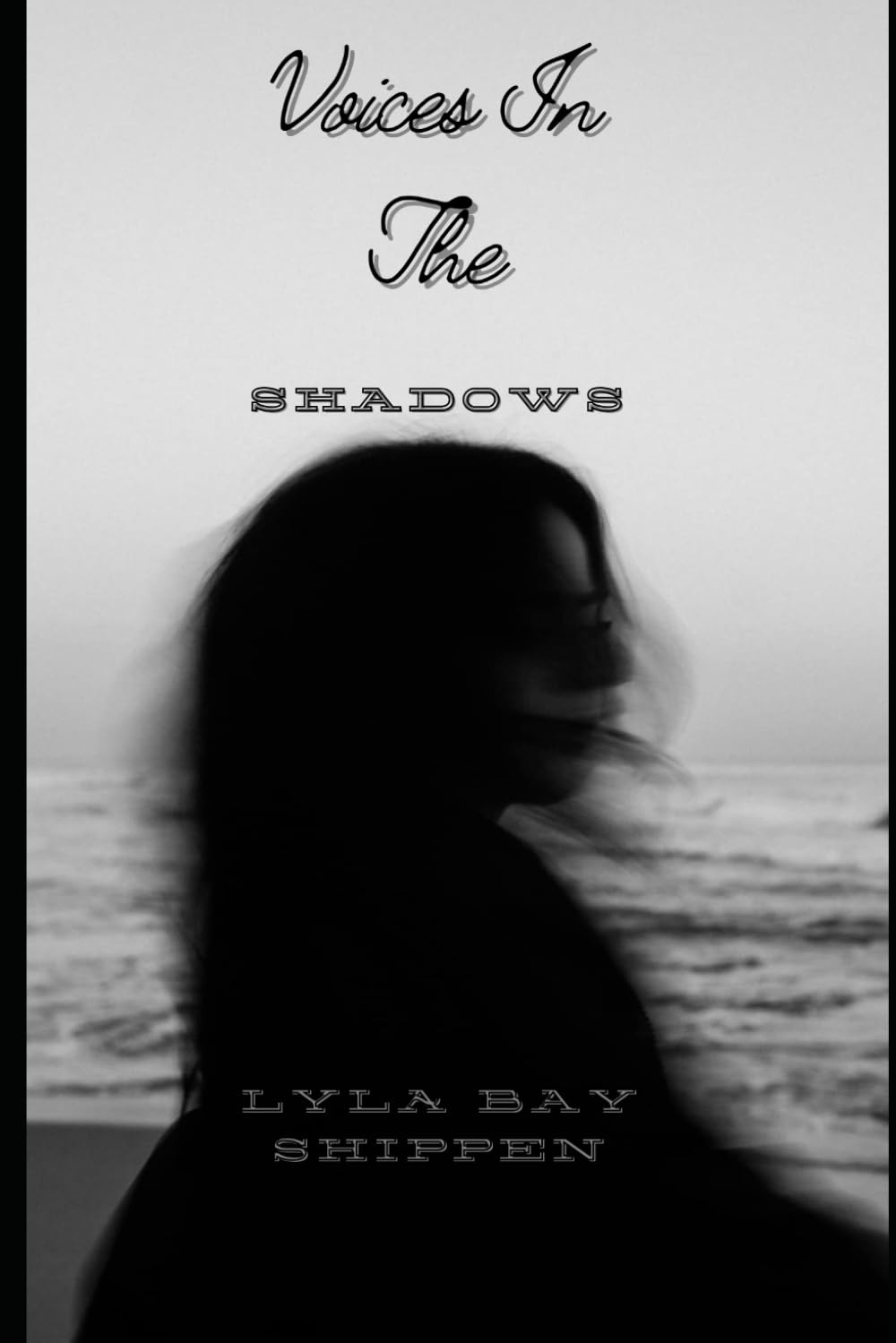 Voices In The Shadows book