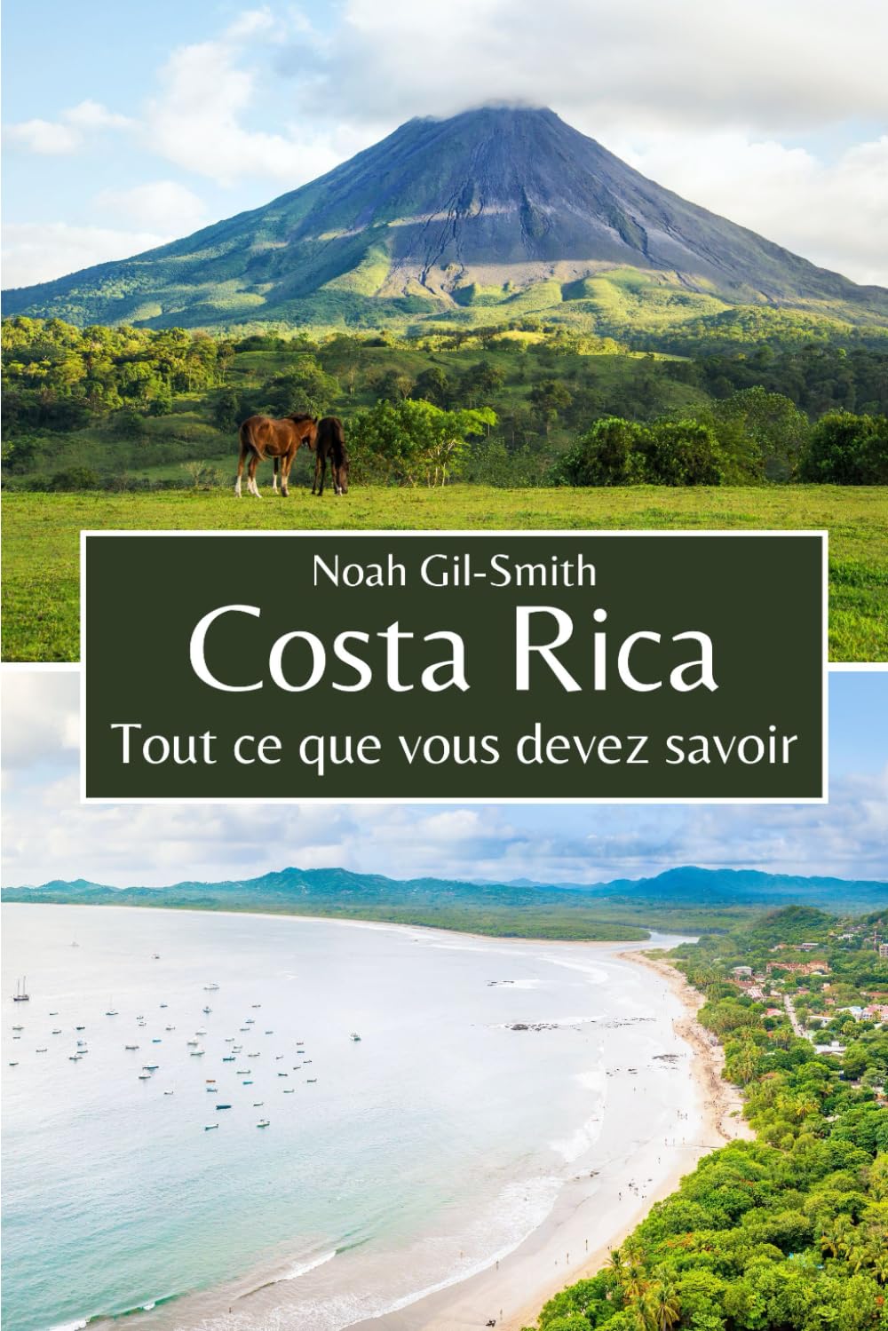 Costa Rica: Tout ce que vous devez savoir book