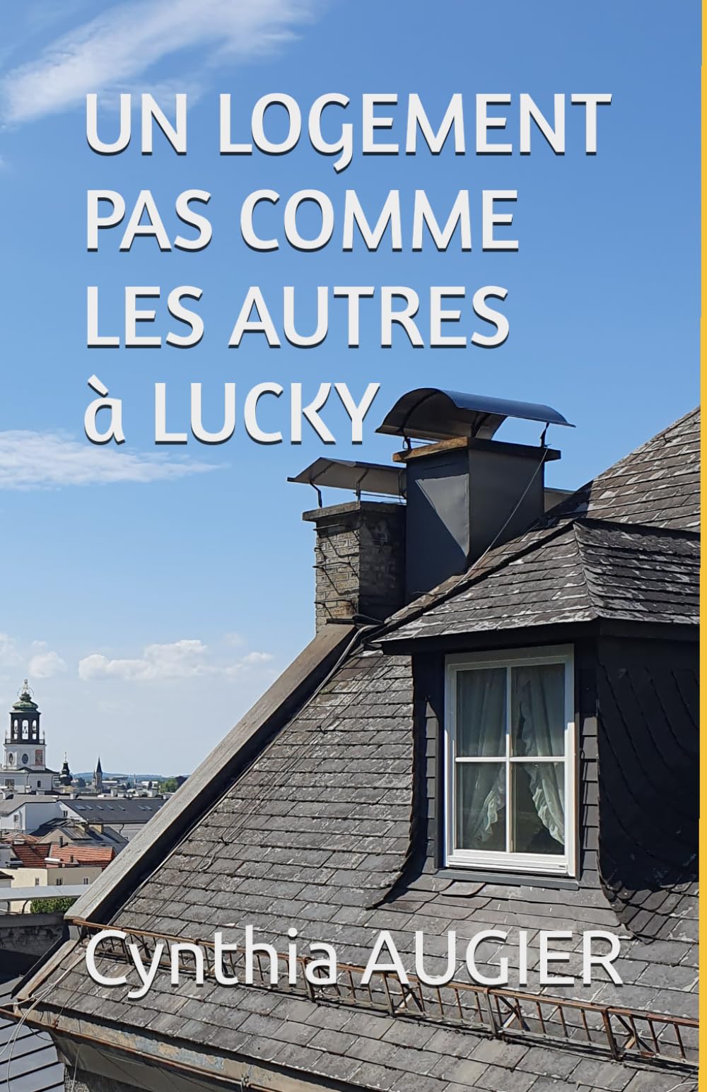 UN LOGEMENT PAS COMME LES AUTRES A LUCKY book