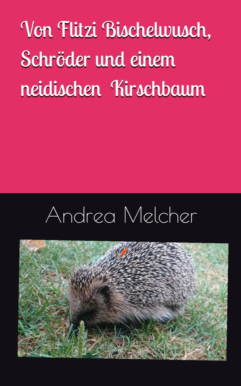 Flitzi Bischelwusch und andere Geschichten aus Wolken gesponnen Novels & Short Stories
