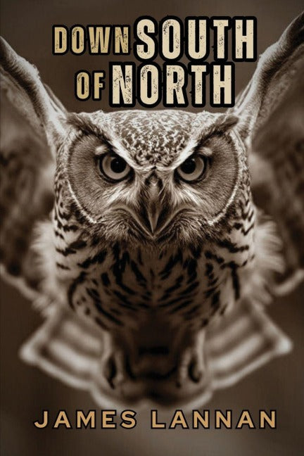 Down South of North Contemporary literature