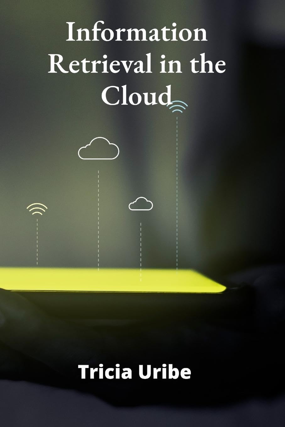 Information Retrieval in the Cloud Computer Science
