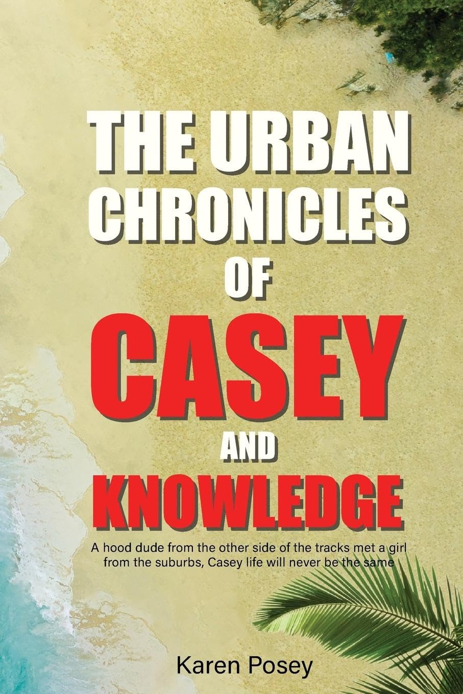 THE URBAN CHRONICLES OF CASEY AND KNOWLEDGE International