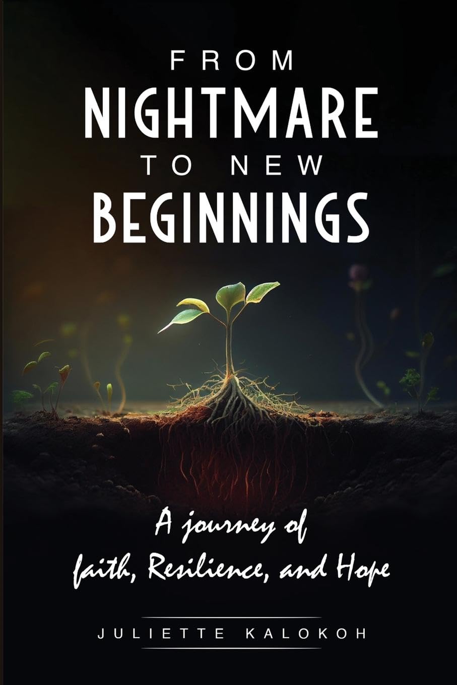 Product Image: From Nightmare to New Beginnings