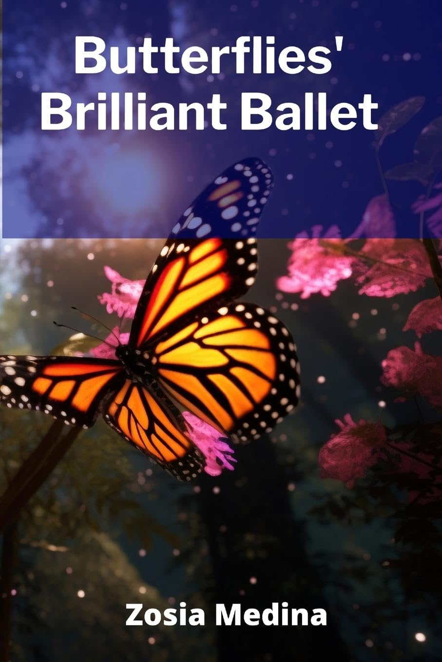 Butterflies' Brilliant Ballet Non-fiction