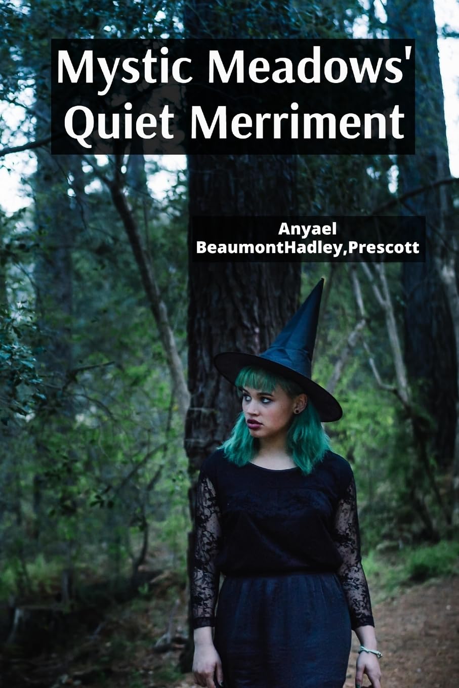 Mystic Meadows' Quiet Merriment Contemporary Romance