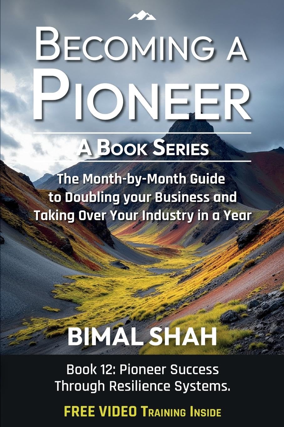 Becoming a Pioneer- A Book Series Business, Finance & Career