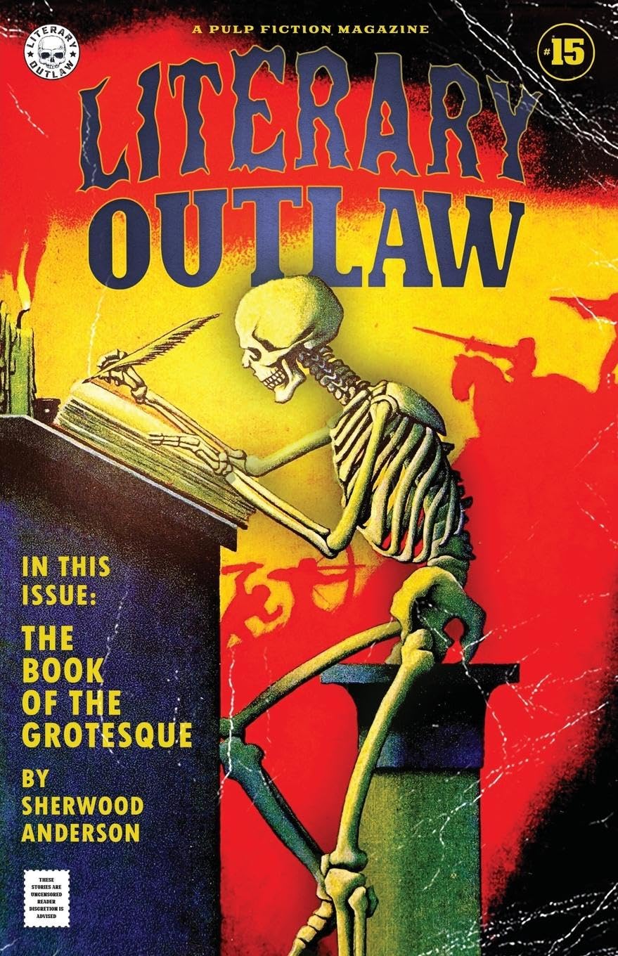 Literary Outlaw #15 Contemporary literature
