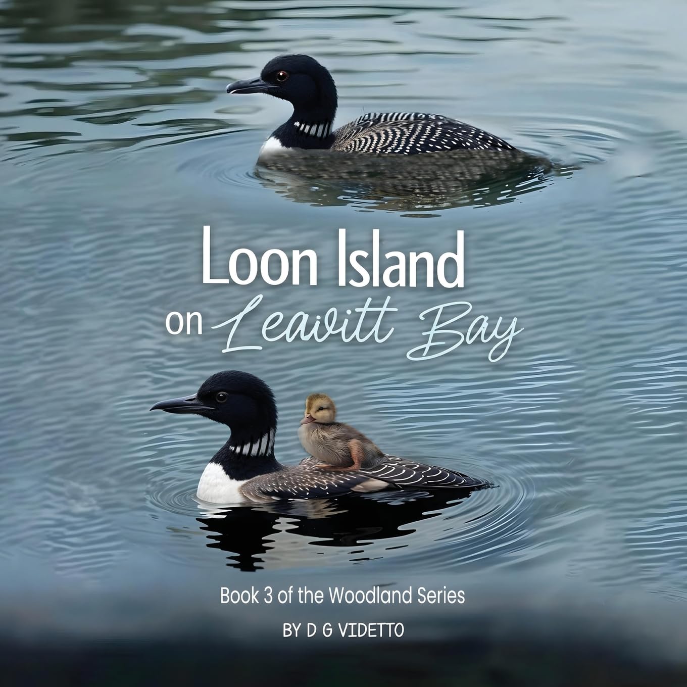 Loon Island on Leavitt Bay Novels & Short Stories