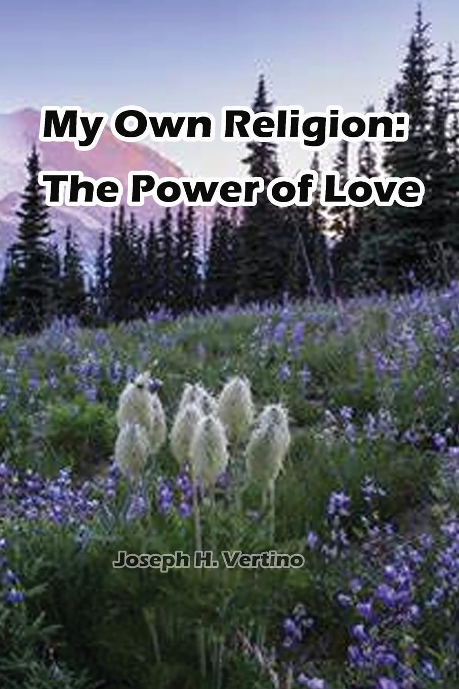 Product Image: My Own Religion