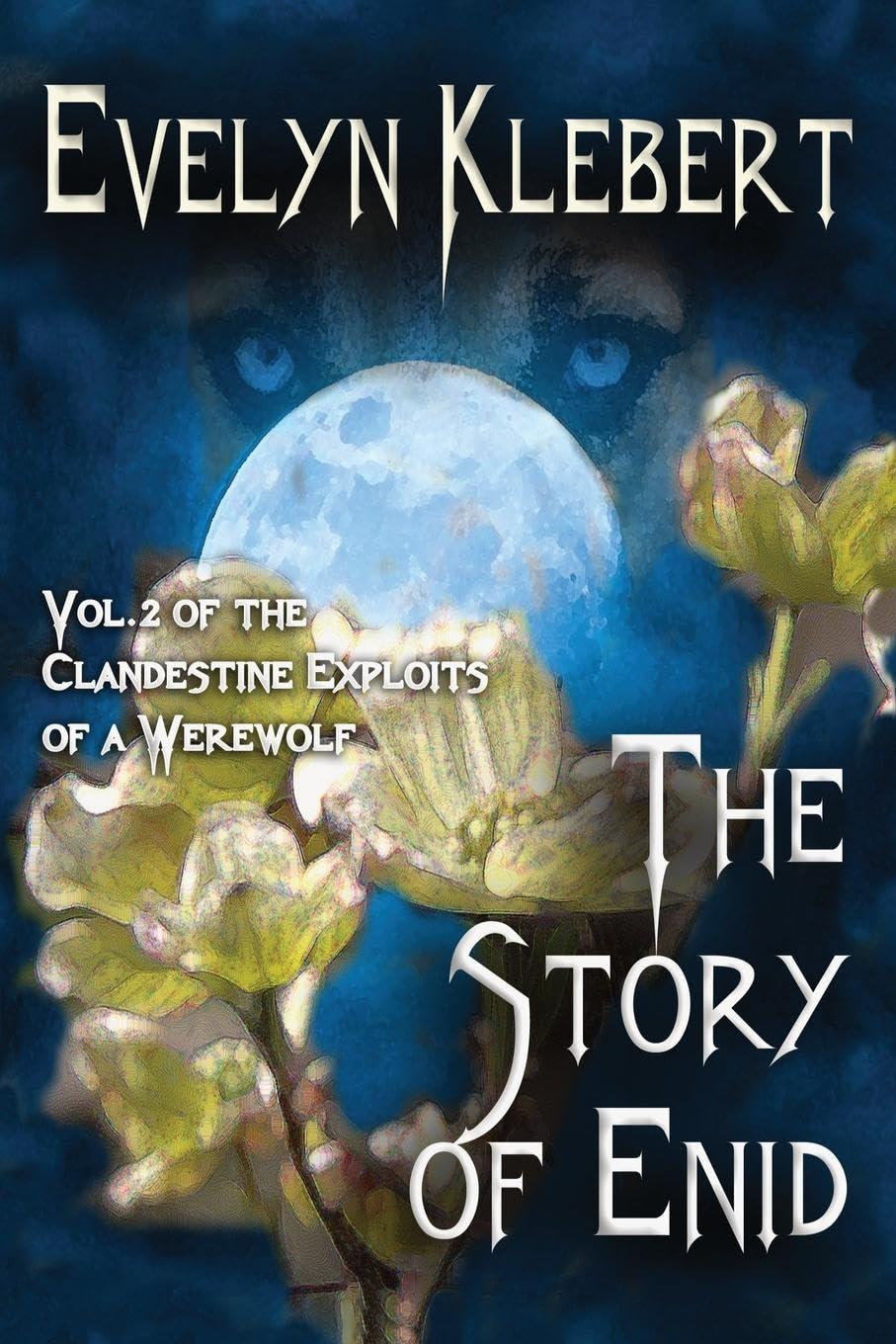 The Story of Enid Historical Fiction