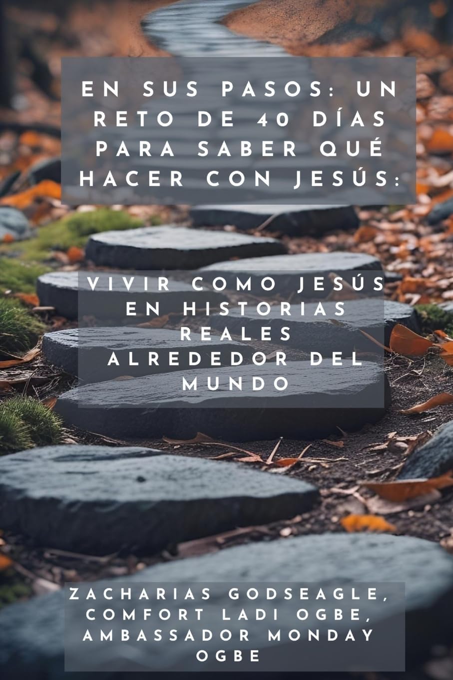 En Sus Pasos - Un reto de 40 días para saber qué hacer con Jesús - Vivir como Jesús en historias reales alrededor del mundo Religion & Esotericism