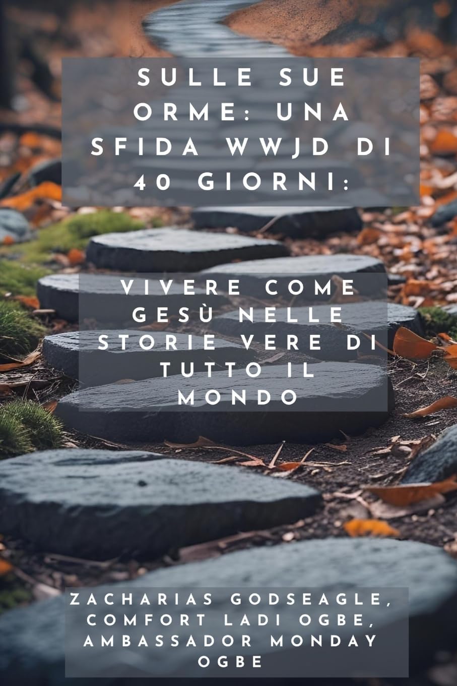 Sulle sue orme - una sfida WWJD di 40 giorni - Vivere come Gesù nelle storie vere di tutto il mondo Religion & Esotericism