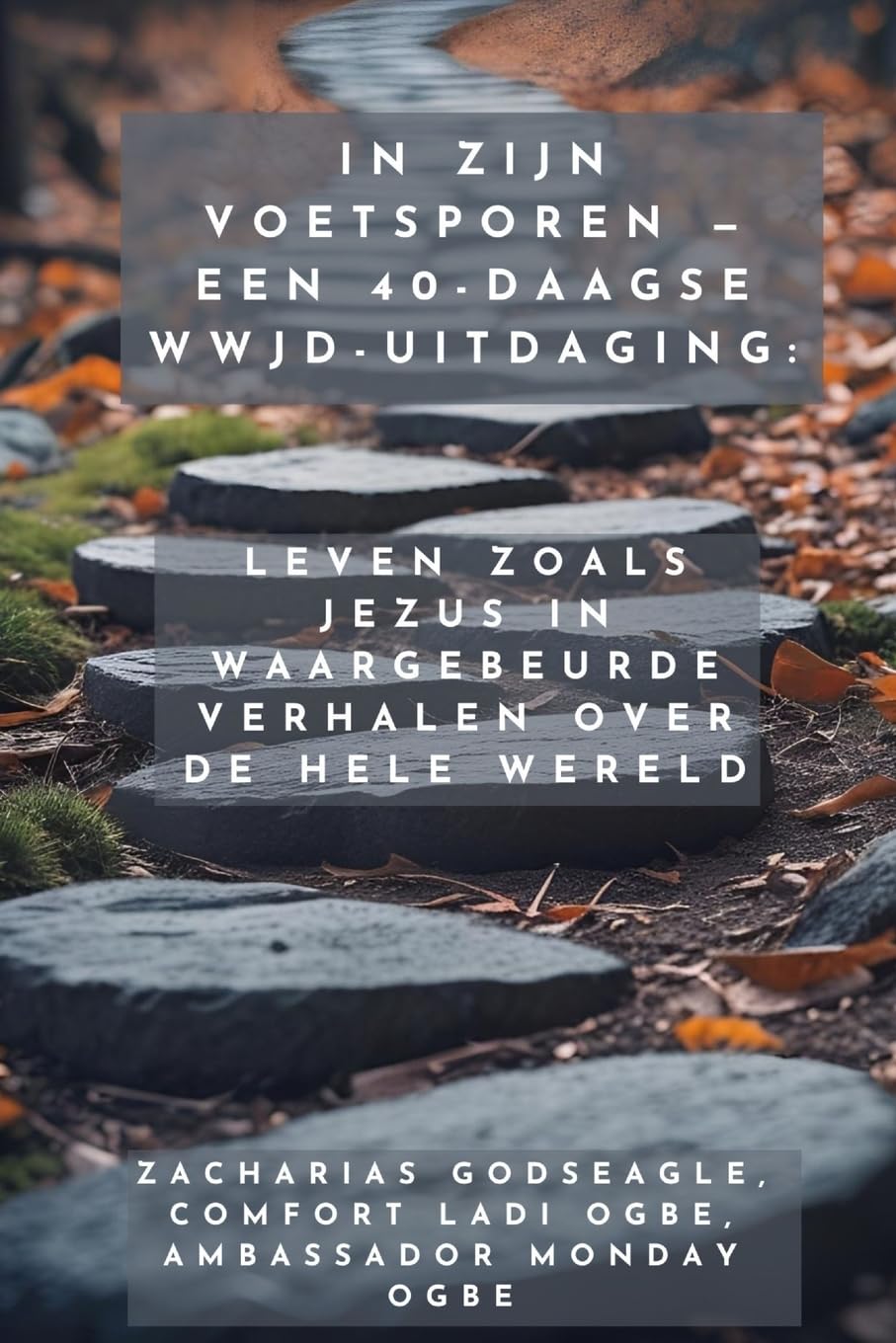 In Zijn Voetsporen - Een 40-daagse WWJD-uitdaging - Leven zoals Jezus in waargebeurde verhalen over de hele wereld Religion & Esotericism