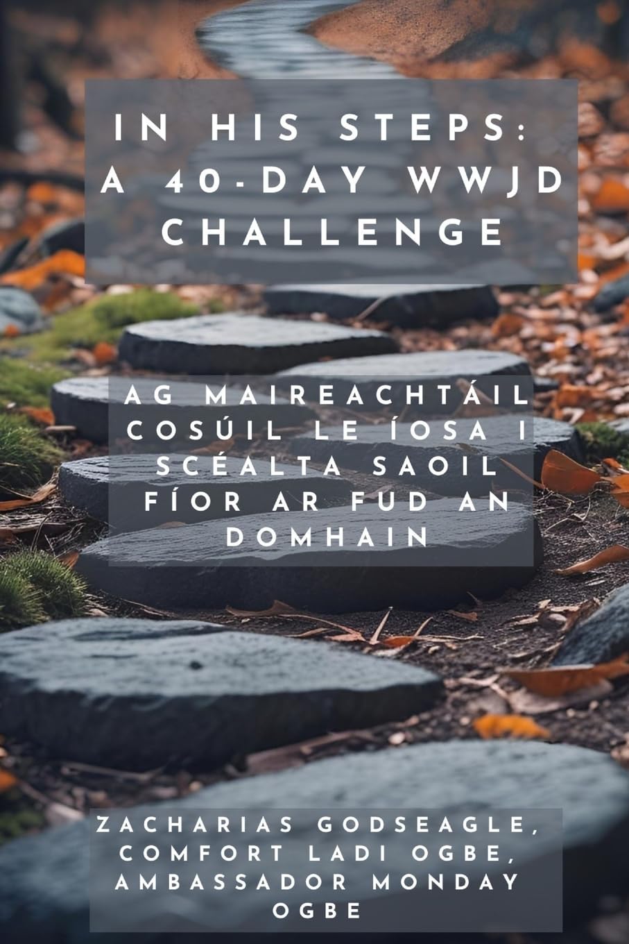 Ina Chéimeanna - Dúshlán 40 Lá WWJD - Ag Maireachtáil Cosúil le Íosa i Scéalta Saoil Fíor ar Fud an Domhain Religion & Esotericism