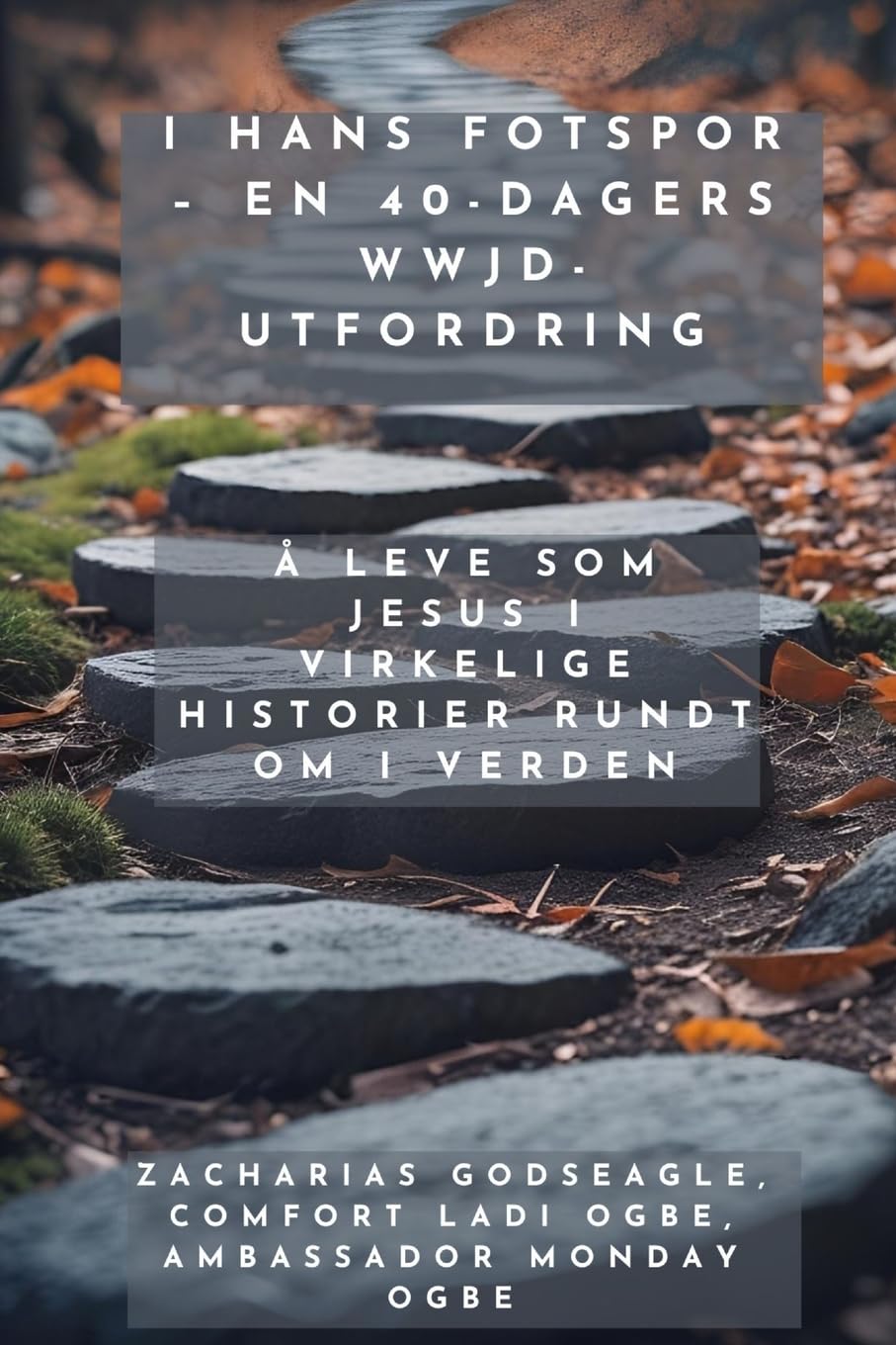 I hans fotspor - en 40-dagers WWJD-utfordring -  Å leve som Jesus i virkelige historier rundt om i verden Religion & Esotericism