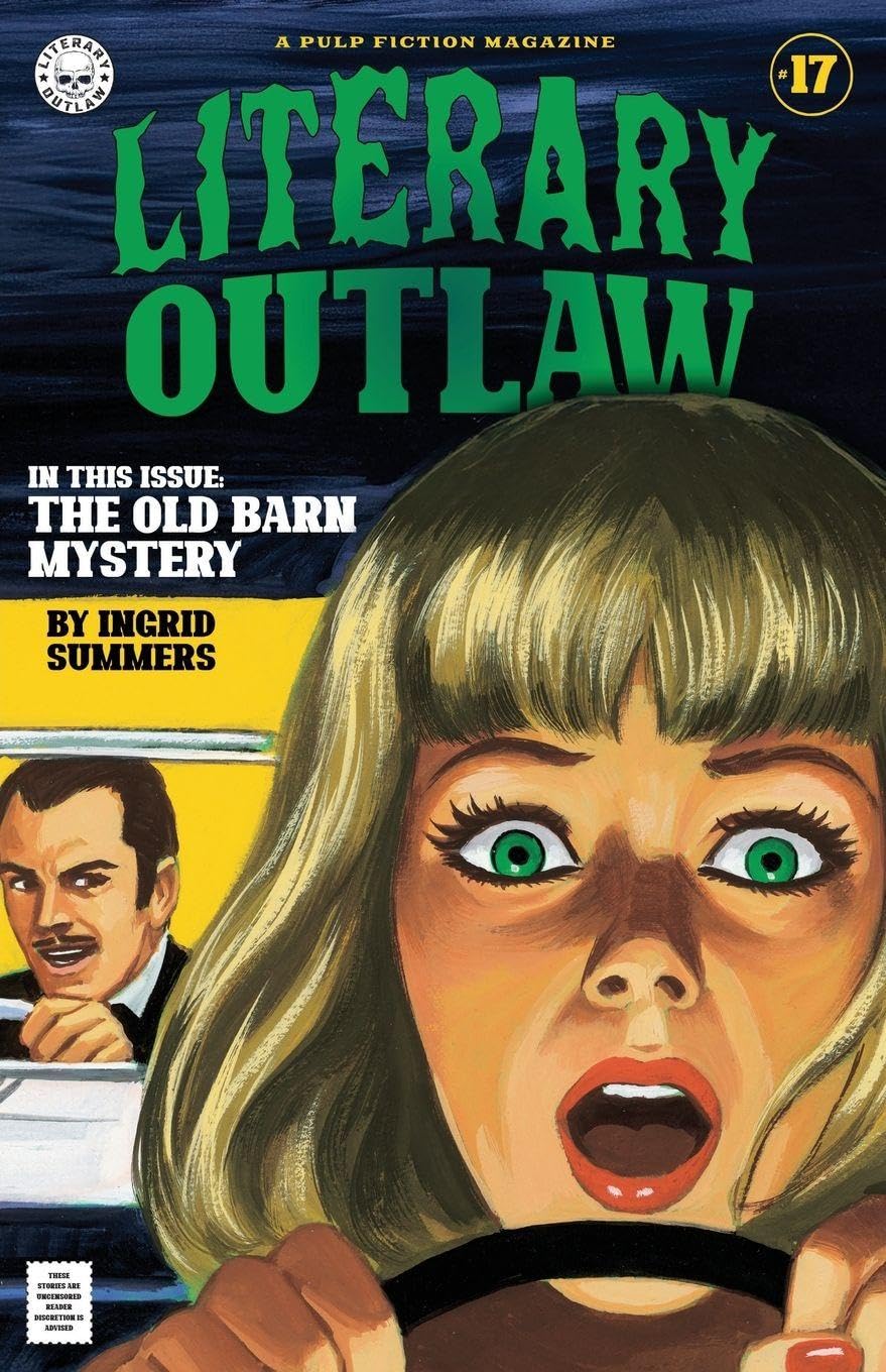 Literary Outlaw #17 Contemporary literature