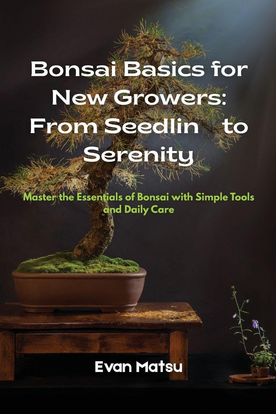 Bonsai Basics for New Growers Garden & Plants