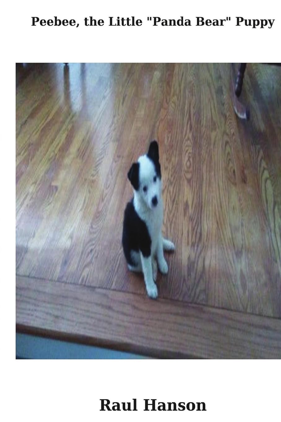 Peebee, the Little "Panda Bear" Puppy Humour & Satire