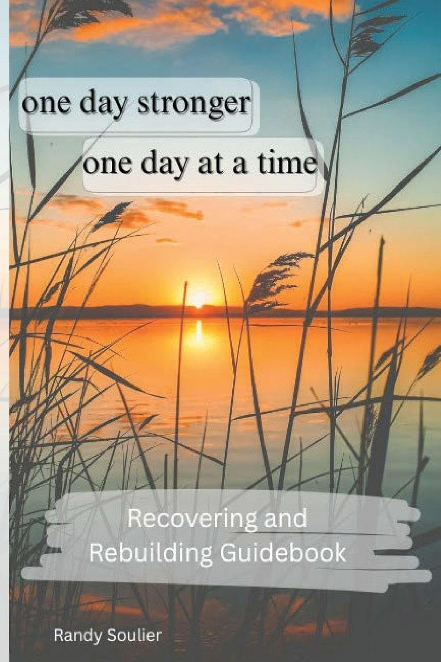 One Day Stronger - One Day at a Time Politics & History