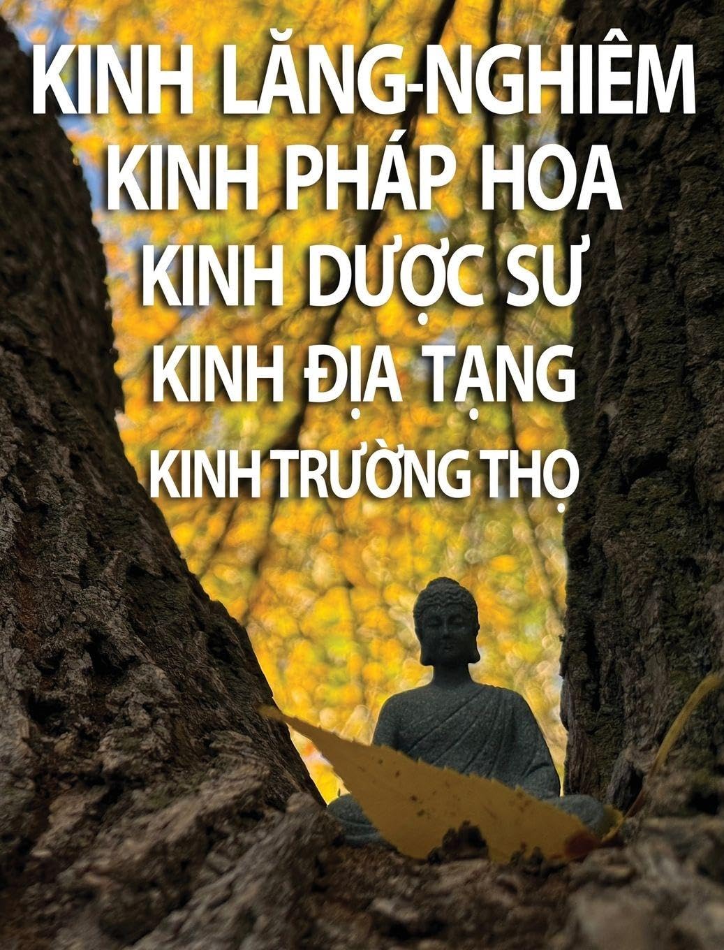 Kinh L¿ng-Nghiêm, Kinh Pháp Hoa, Kinh D¿¿c S¿, Kinh ¿¿a T¿ng, Kinh Tr¿¿ng Th¿ Religion & Esotericism