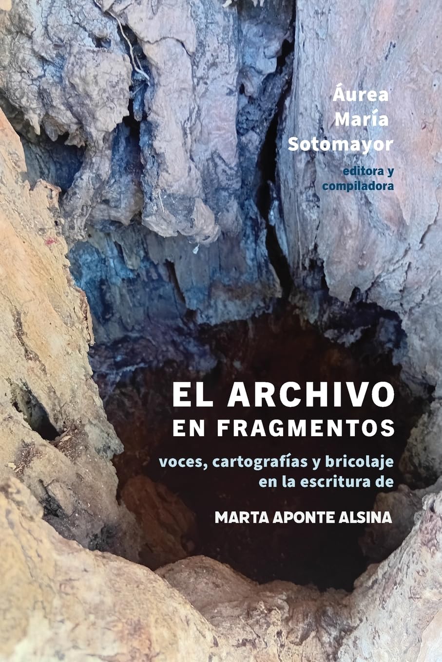 El archivo en fragmentos Contemporary literature