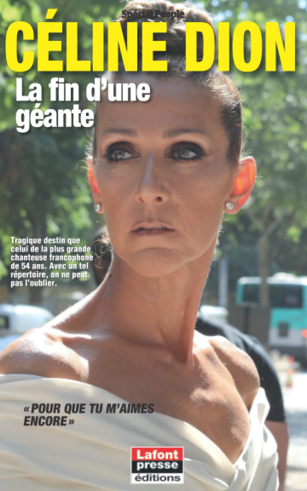 CÉLINE DION: La fin d’une géante book
