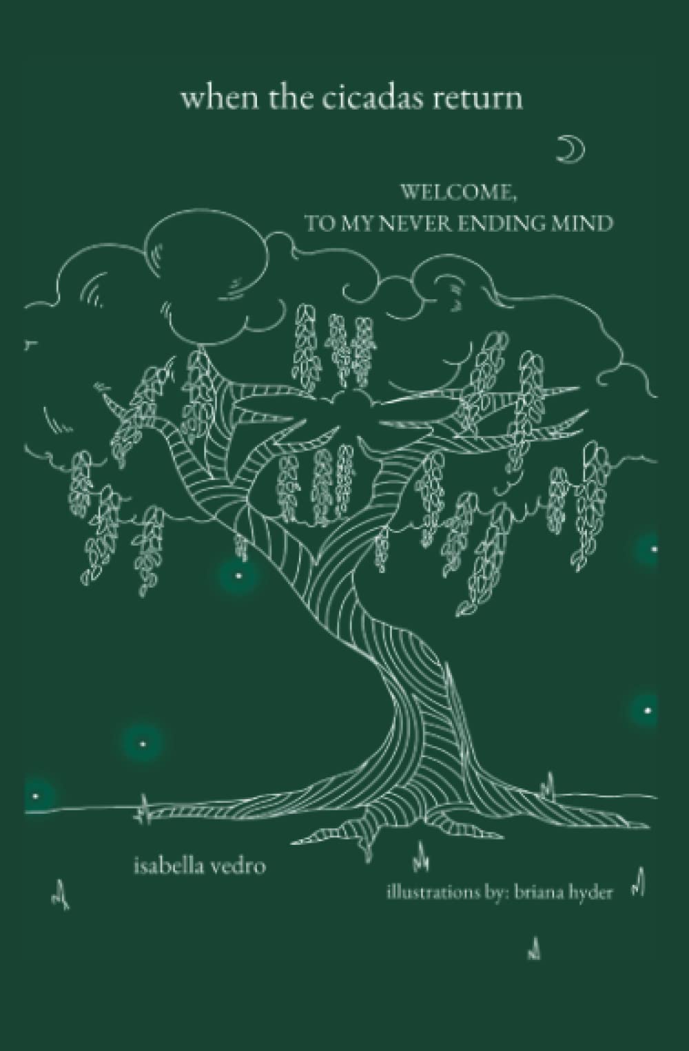 When The Cicadas Return: welcome, to my never ending mind book