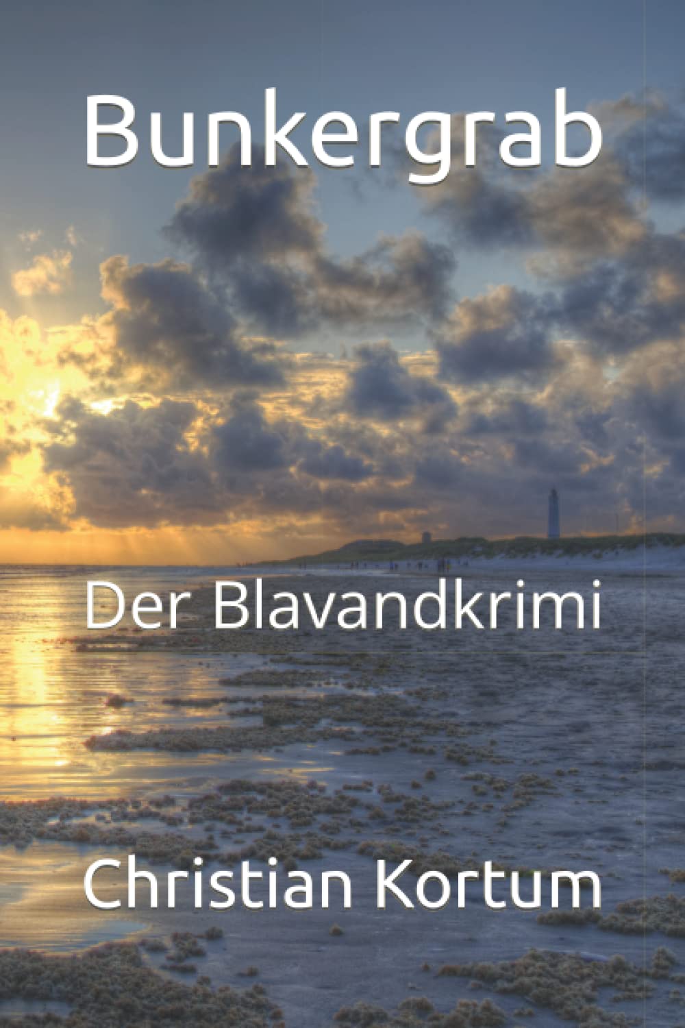 Bunkergrab: Der Blavandkrimi Contemporary literature