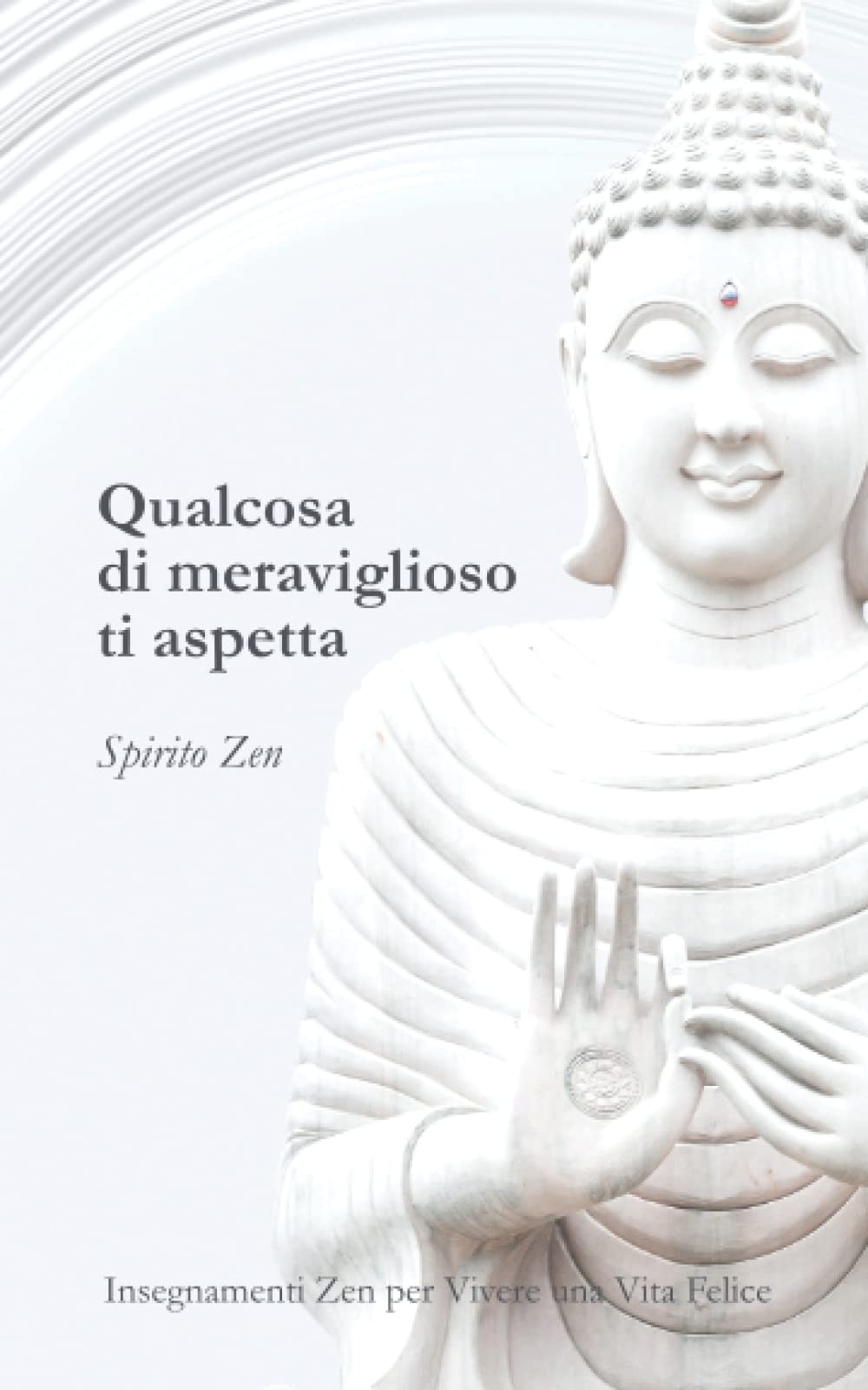 Qualcosa di meraviglioso ti aspetta: Insegnamenti Zen per vivere una vita felice - Include diario della gratitudine Lifestyle