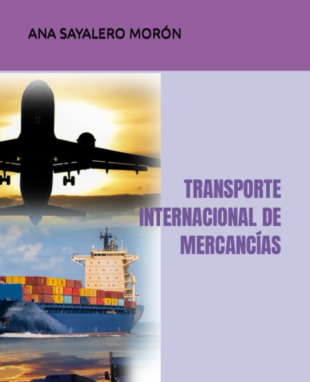 TRANSPORTE INTERNACIONAL DE MERCANCÍAS book
