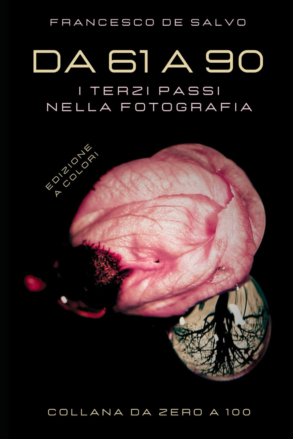 Da 61 a 90: I terzi passi nella Fotografia (Edizione a Colori) (Da zero a 100, Band 7) Photography