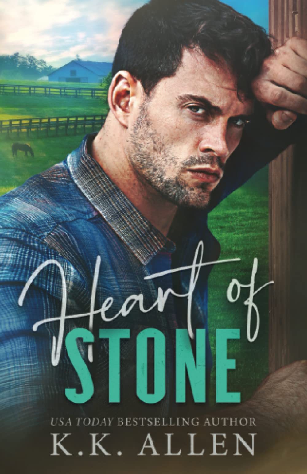 Heart of Stone book